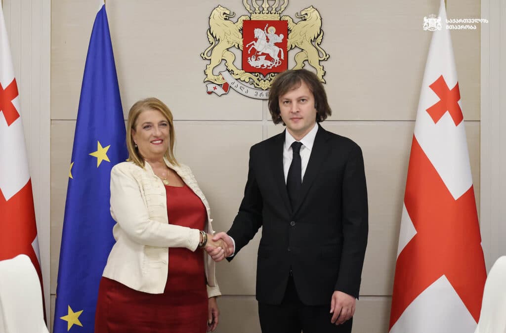 ირაკლი კობახიძე უნგრეთის ელჩს შეხვდა