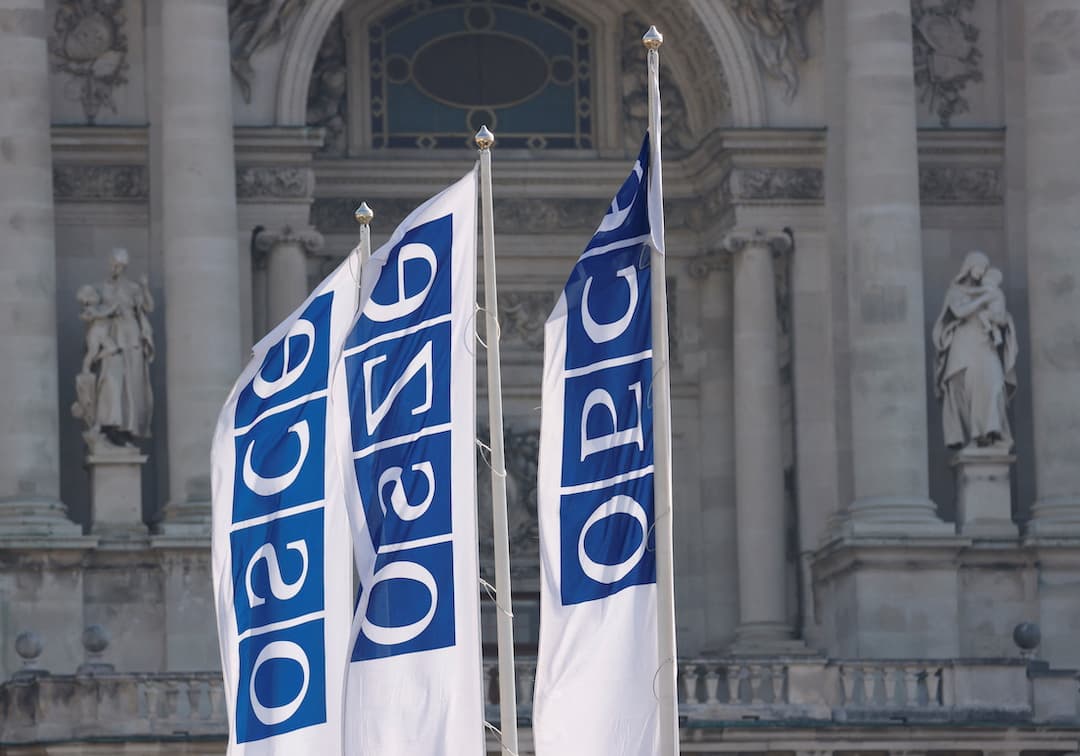OSCE PA adopts resolution on Georgia, condemns 'democratic backsliding' 