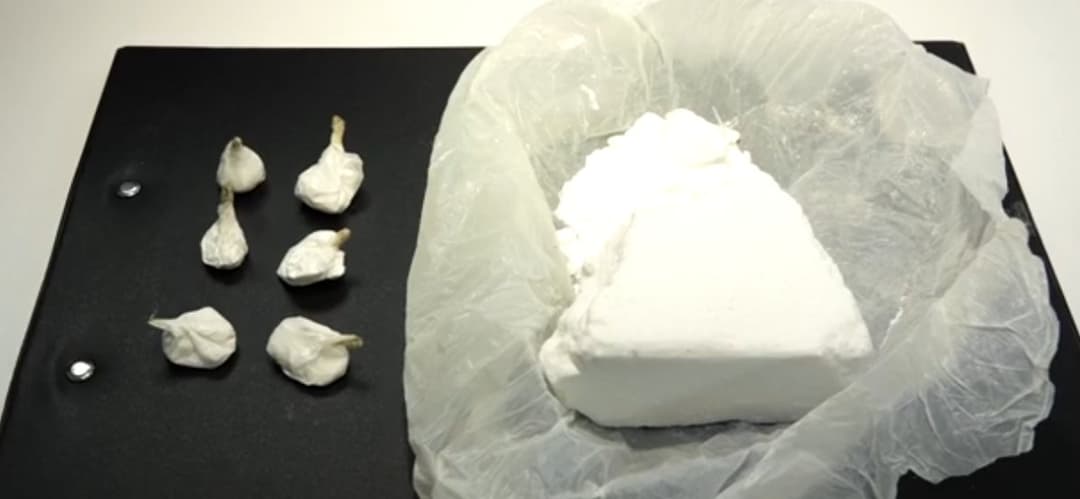 Turkish citizen detained in Georgia over large-scale cocaine possession