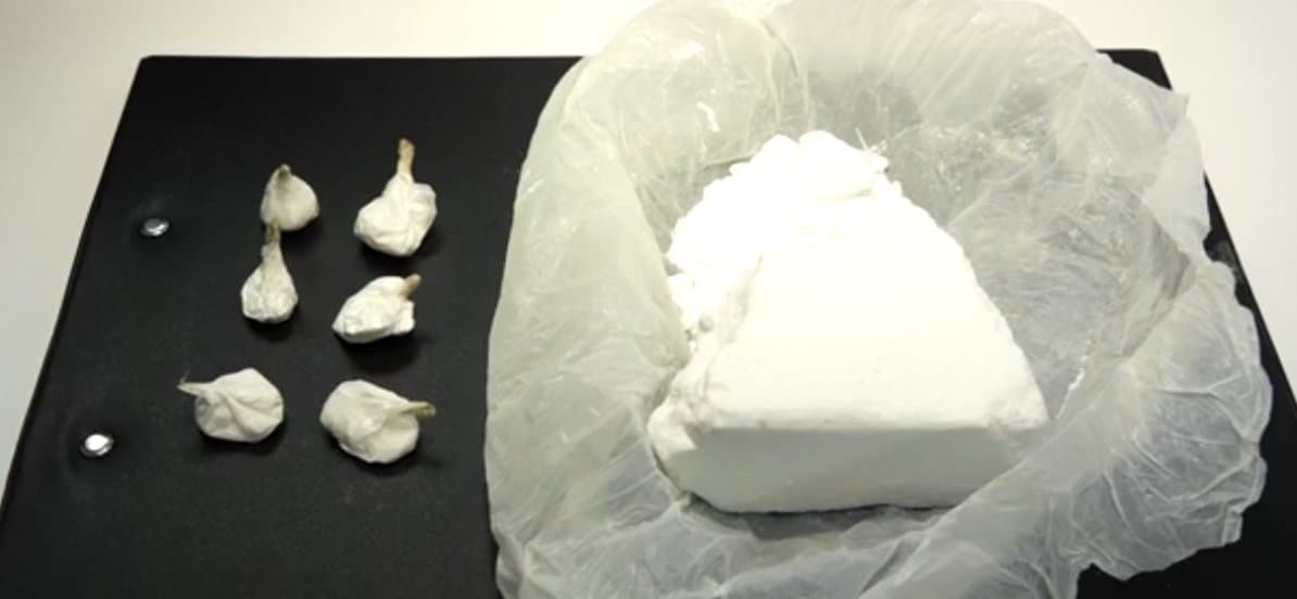Law enforcement officials seized approximately 150 grams of cocaine during a search of the suspect's temporary residence in Georgia