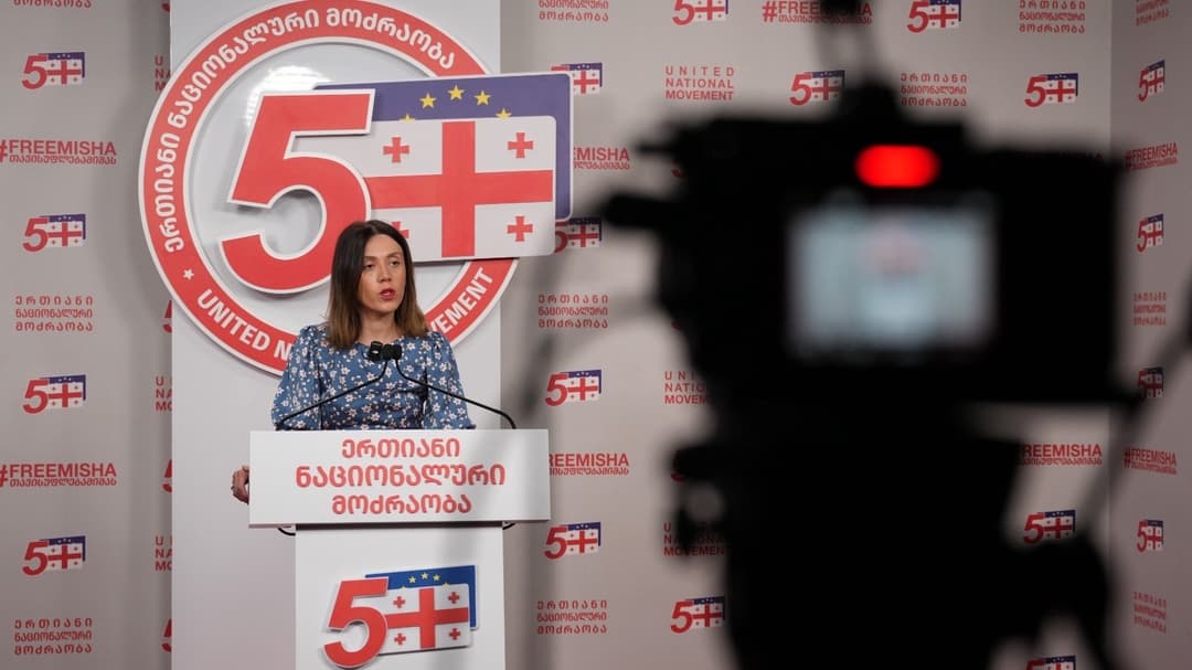 ანა წითლიძე - გადარჩენას და ჯანმრთელობას ვუსურვებ თორნიკე რიჟვაძეს, ეს ფაქტი უნდა იყოს მესიჯი ყველა იმ ადამიანისთვის, რომლებიც ემსახურებიან რეჟიმს