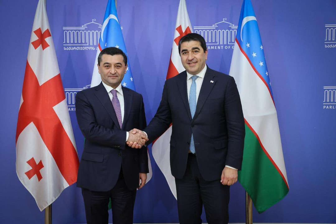 Georgian Speaker meets with Uzbek Foreign Minister