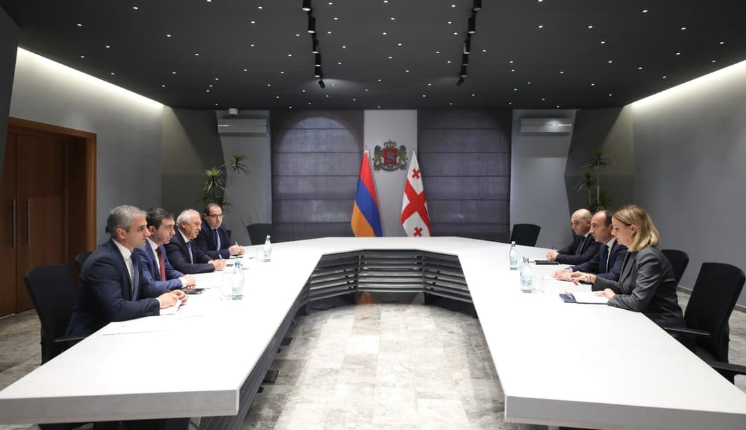 Georgian Interior Minister meets with Armenian Ambassador to discuss regional security, police cooperation