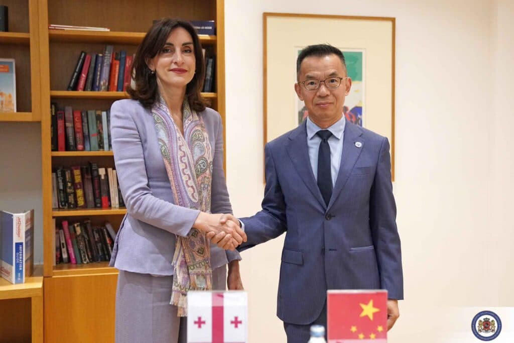 Georgian Foreign Minister meets Chinese special representative at Dubrovnik Forum