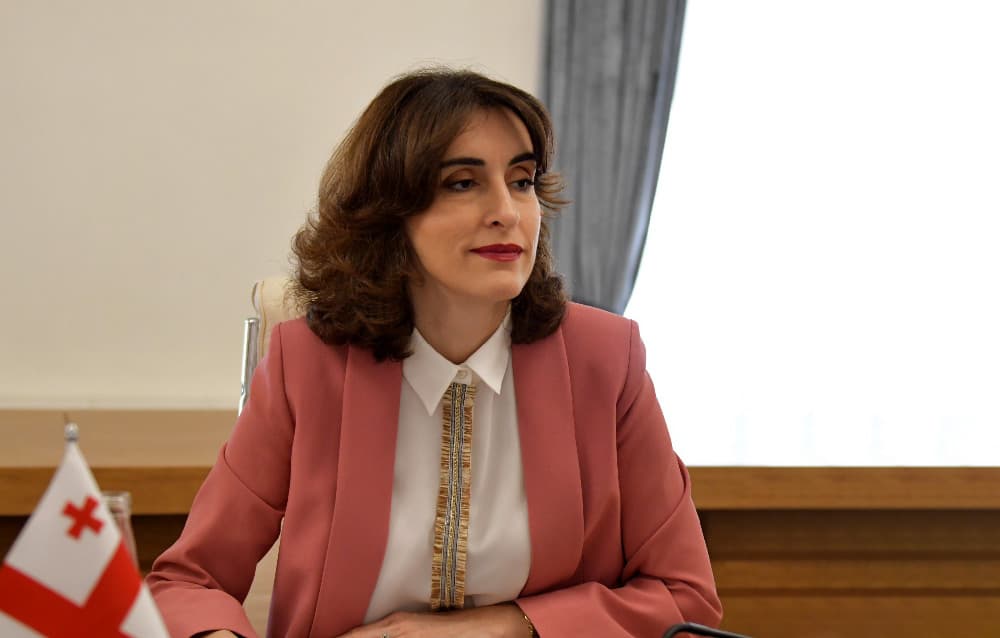 Georgian Foreign Minister criticizes statement of 17 countries as fueling “false narratives”