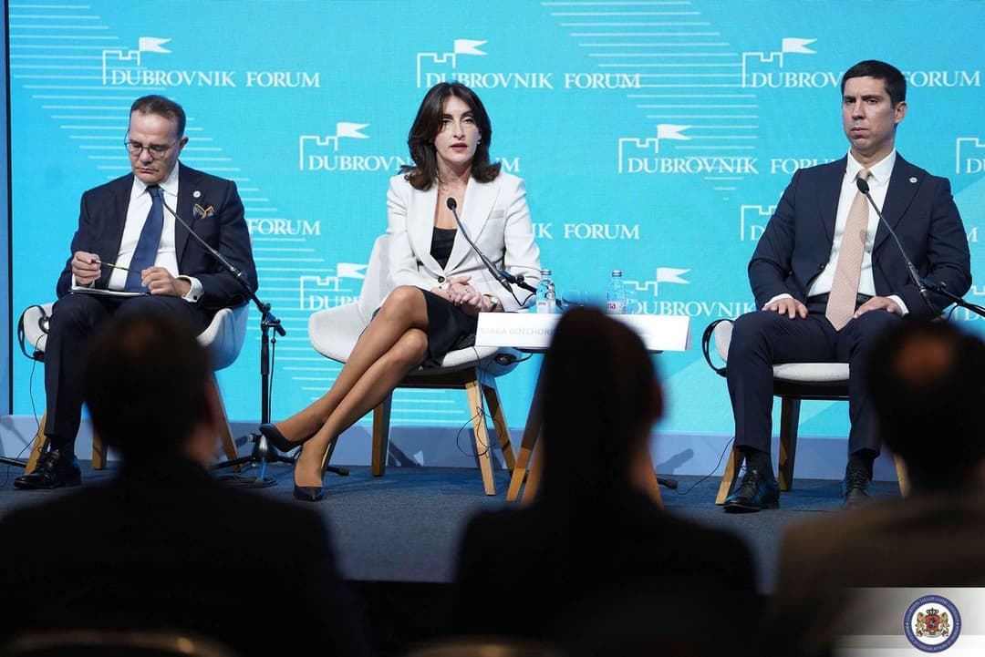 FM Botchirishvili: "Achieving security and stability in EU will be difficult without Georgia"