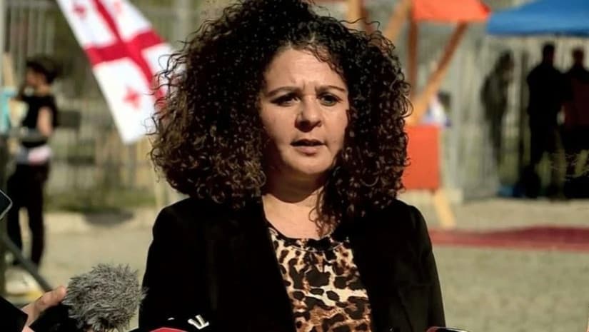 French Ambassador urges Georgian Gov’t to defend democracy, repeal ‘repressive’ laws