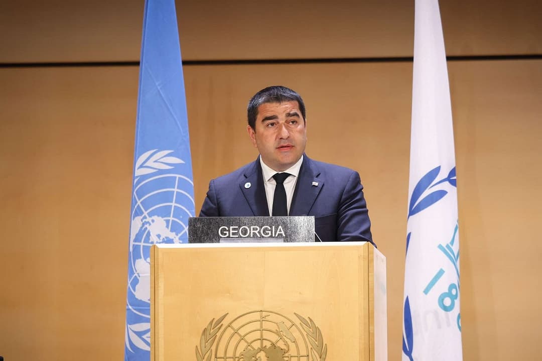 შალვა პაპუაშვილი - საქართველო იმ ერებს შორისაა, რომელთა დემოკრატიაც ამ თავსმოხვეული უცხოური პოლიტიკური ჩარევით დაზარალდა