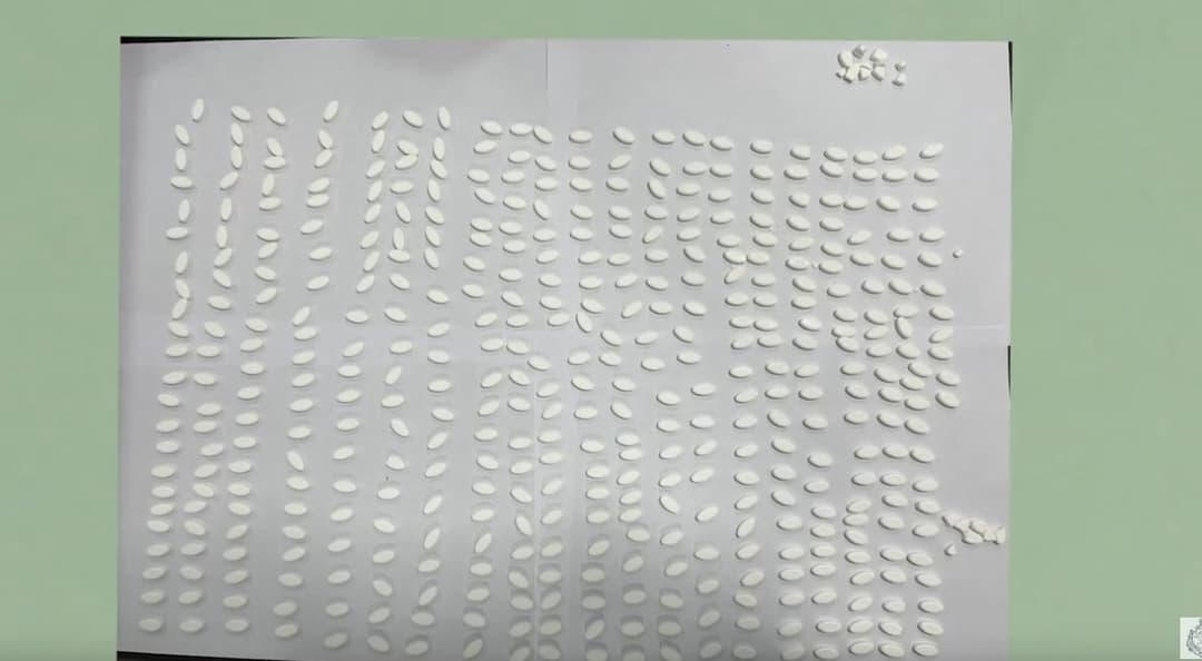 პოლიციამ "სობოტექსის“ 439 აბი ამოიღო