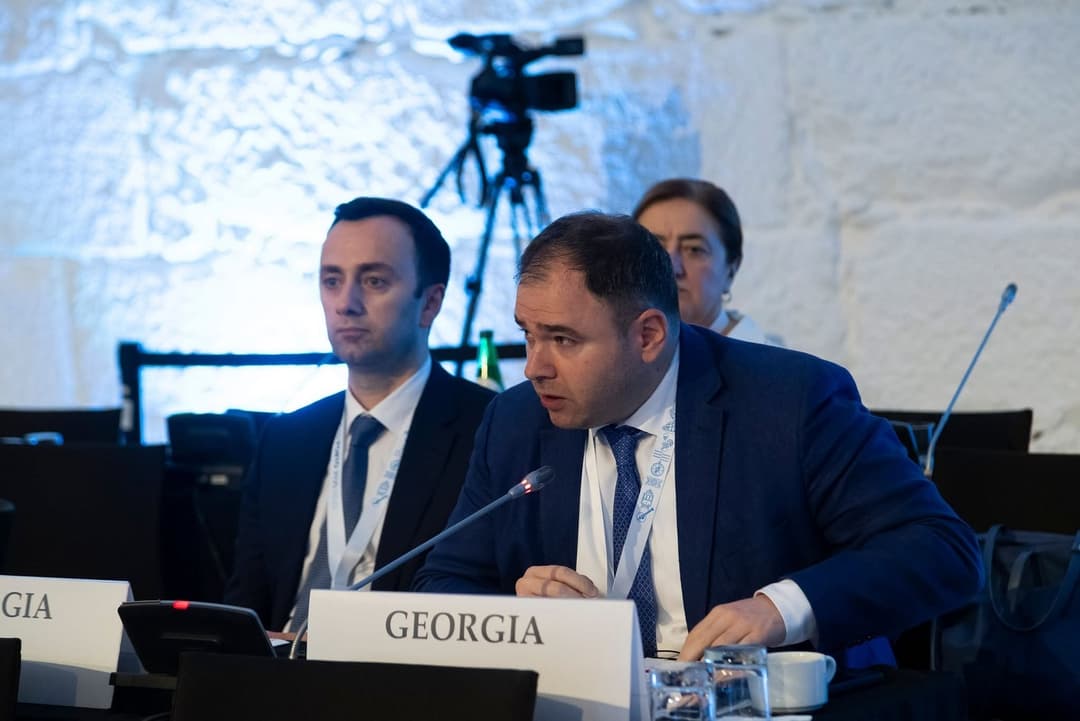 ნიკოლოზ სამხარაძე - ეუთოს საპარლამენტო ასამბლეის ყოველწლიურ ანგარიშში დაემატება ჩანაწერი, რომელიც სირიის ახალ ხელისუფლებას მოუწოდებს, გააუქმოს აფხაზეთისა და ცხინვალის რეგიონის „დამოუკიდებლობის“ აღიარება