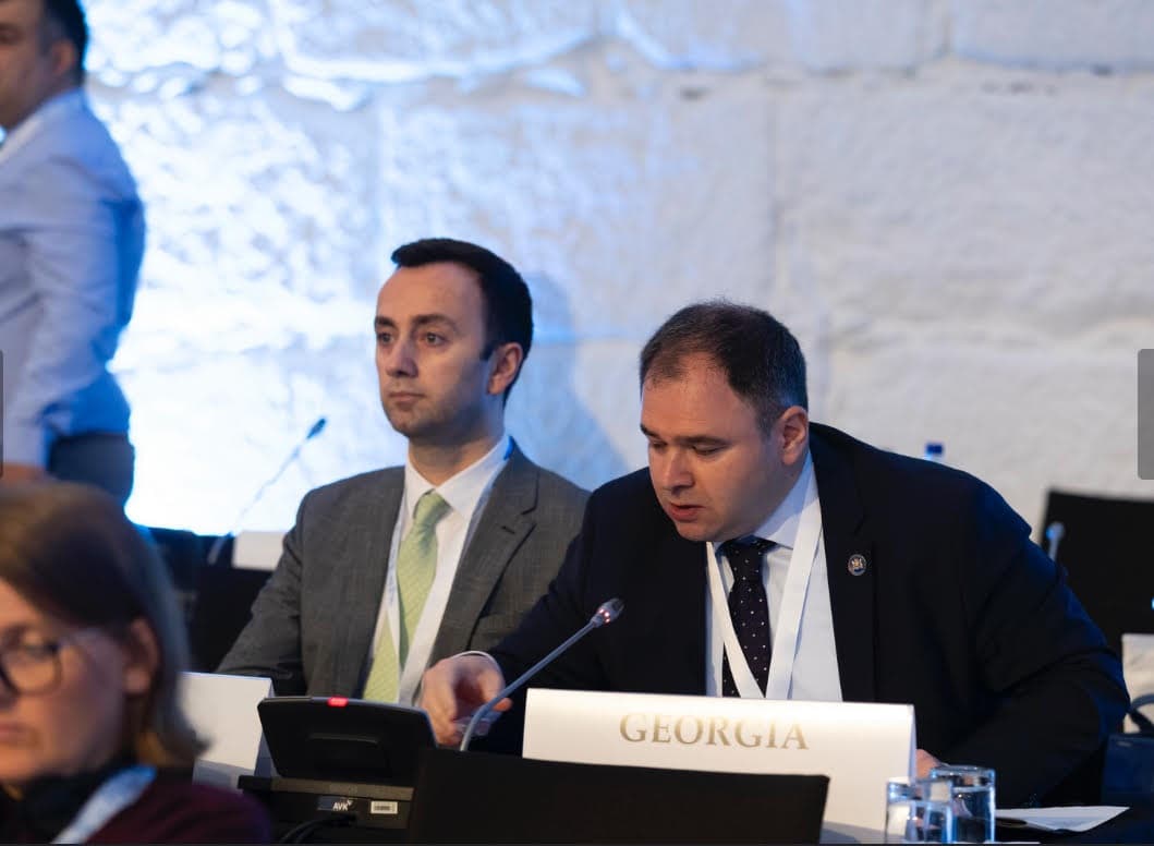 ნიკოლოზ სამხარაძე - ეუთო ეგზისტენციალურ კრიზისშია, მან ვერ შეძლო შეეჩერებინა რუსეთის სამხედრო აგრესია საქართველოსა და უკრაინაში