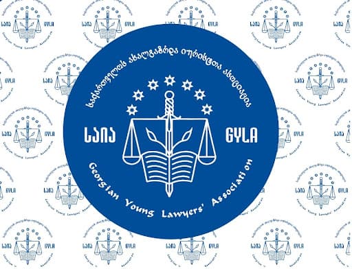 Georgian Young Lawyers’ Association criticizes amendments to Freedom of Expression Law