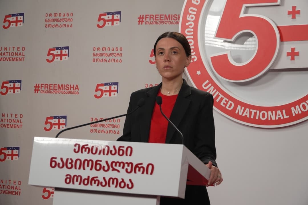 ანა წითლიძე - რეზოლუციაში საინტერესოა ადგილობრივ არჩევნებზე ჩანაწერი იმის გათვალისწინებით, რომ "ლელო" ურცხვად იტყუებოდა, ევროპელები არჩევნებში მონაწილეობას გვთხოვენო