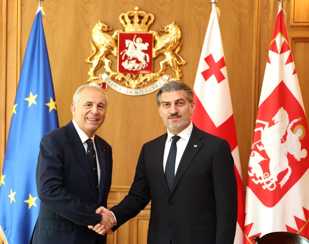 მიხეილ ყაველაშვილი მალტის სუვერენული ორდენის ელჩს ტეოდორიკო ნანის შეხვდა