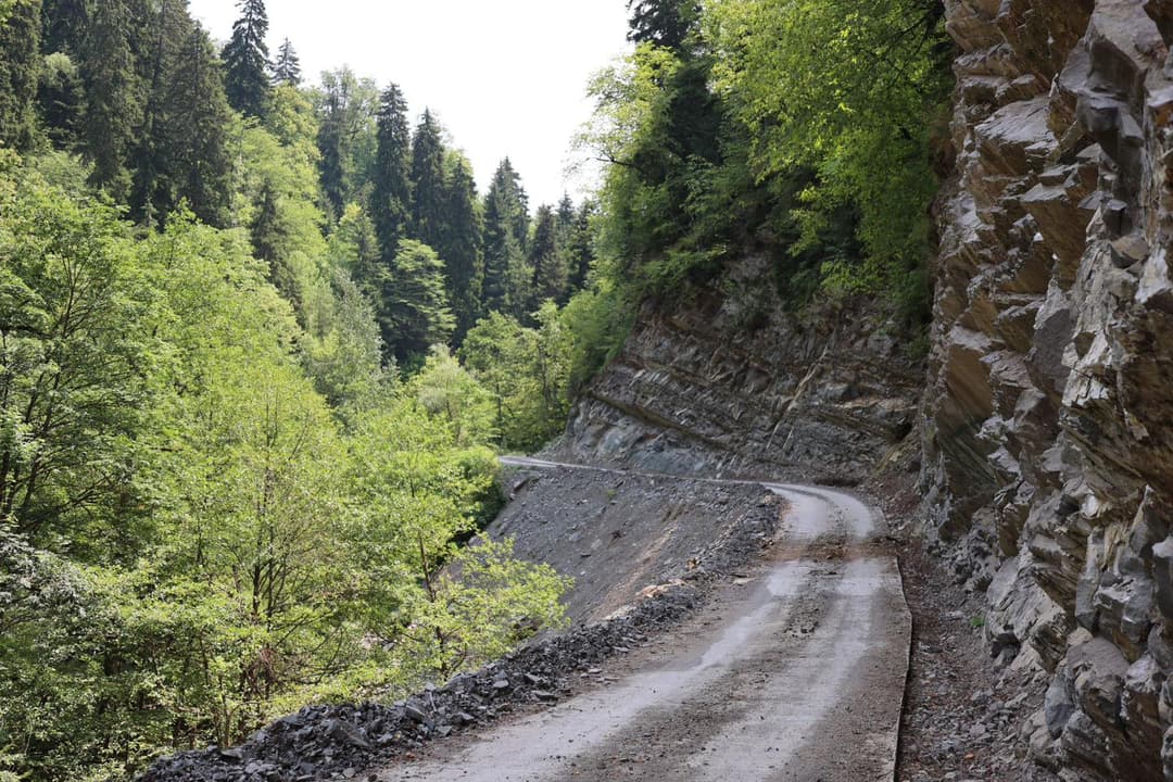 სოფელ ტიმოთესუბნიდან დიდი და პატარა მიტარბის გავლით დაბა ბაკურიანამდე მისასვლელი გზის რეაბილიტაცია დაიწყო