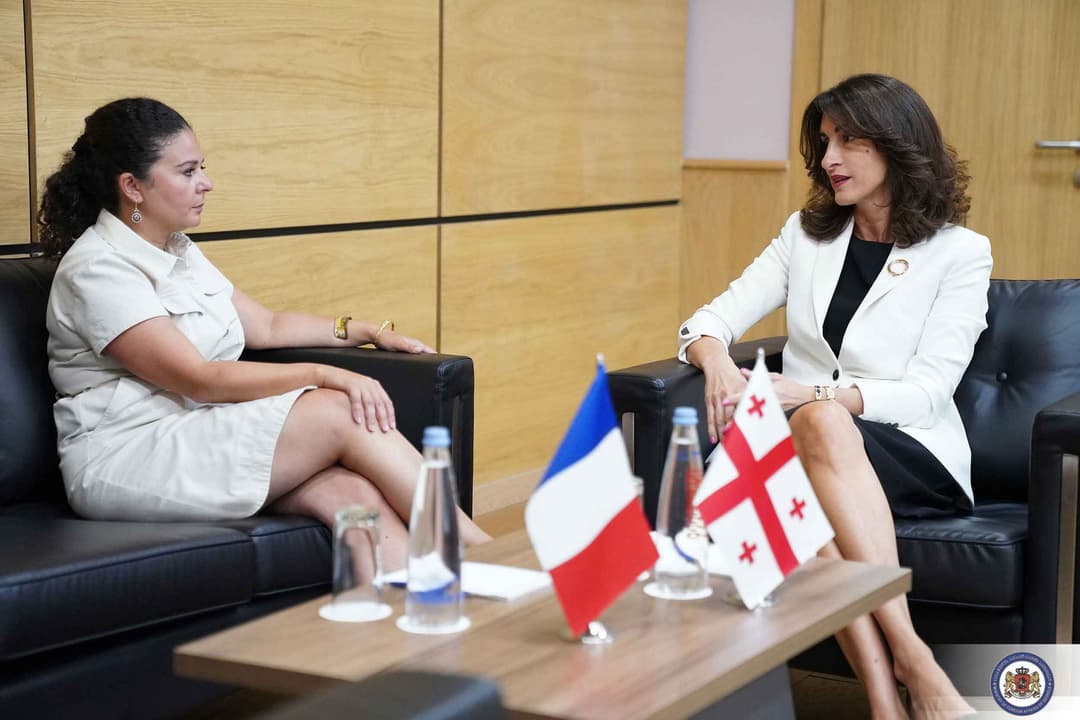 Georgia FM meets outgoing French Ambassador