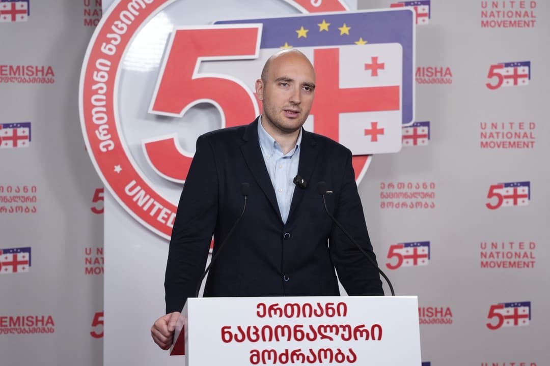 ირაკლი ფავლენიშვილი - სრულ იზოლაციას, დასავლური სამყაროსგან სრულ მოწყვეტას ნიშნავს ივანიშვილის პარტიის ხელისუფლებაში დარჩენა