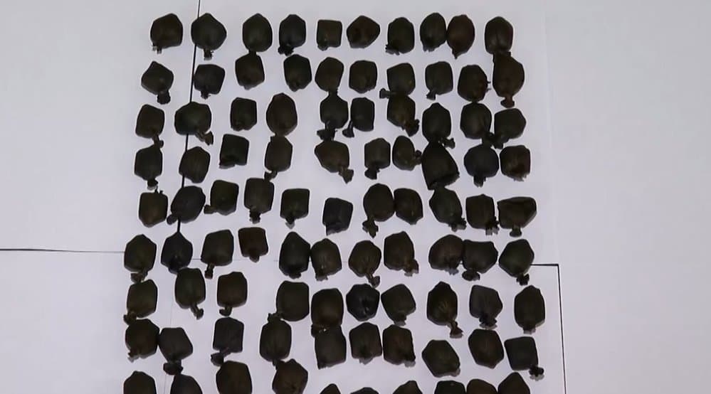 Two arrested at Tbilisi airport for attempting to smuggle narcotics into Georgia