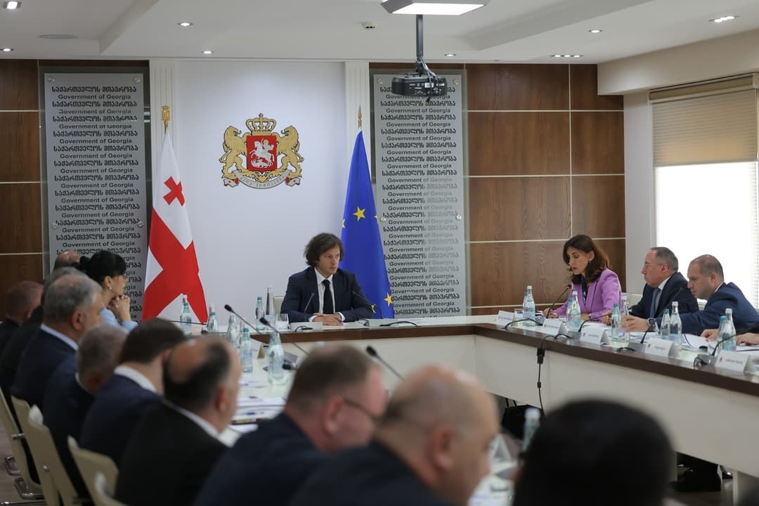 საქართველოს ევროკავშირში ინტეგრაციის კომისიის სხდომაზე საქართველოს ევროკავშირში ინტეგრაციის 2024 წლის სამოქმედო გეგმის შესრულების წლიური ანგარიში განიხილეს