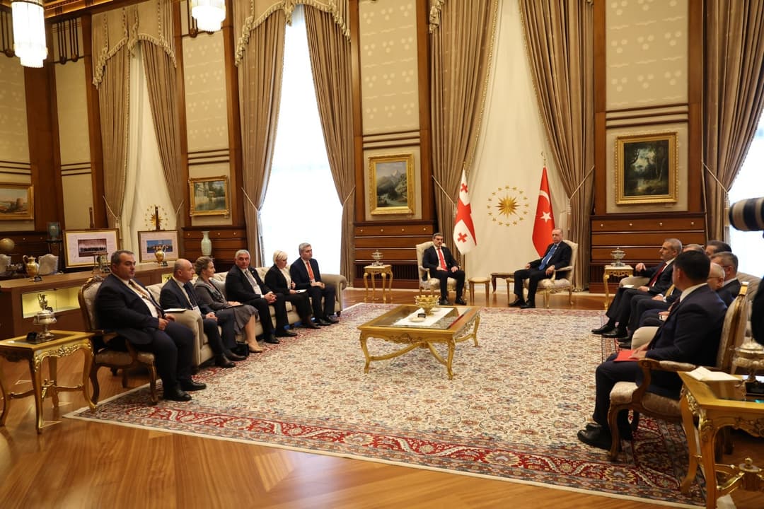 საქართველოს და თურქეთის პრეზიდენტებს შორის გაფართოებული ფორმატის შეხვედრა გაიმართა