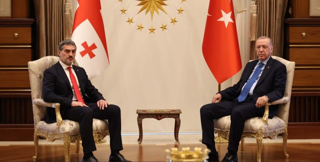 მიხეილ ყაველაშვილი - დიდი პატივია საქართველოს პრეზიდენტის რანგში ოფიციალური ვიზიტით პირველად ვსტუმრობდე მეგობარ თურქეთის რესპუბლიკას