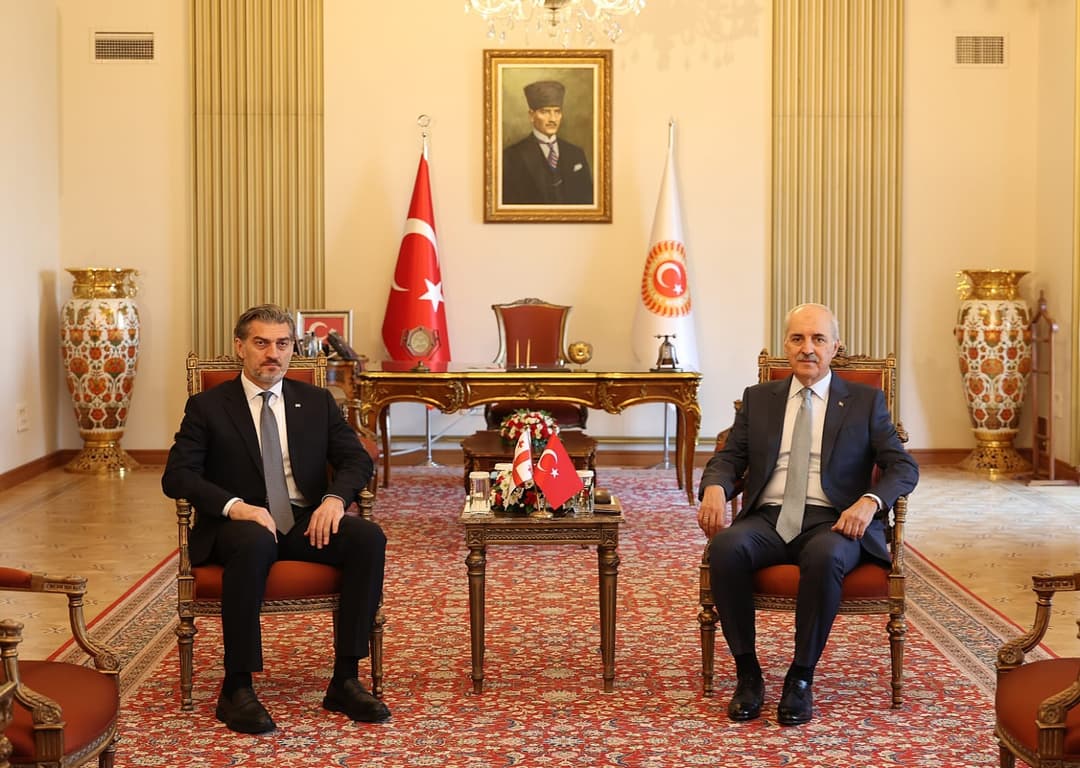 Georgian president meets Turkish parliament speaker in Ankara
