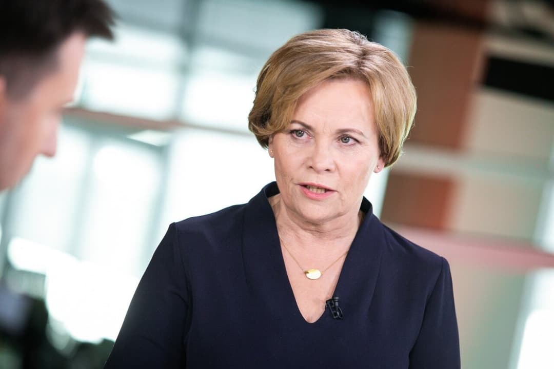 European Parliament member: ‘we can’t let Georgia slip into oblivion’