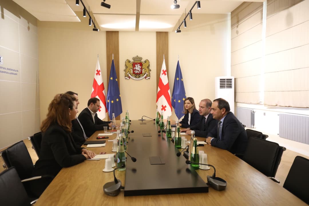 გივი მიქანაძე არიზონას სახელმწიფო უნივერსიტეტის წარმომადგენლებს შეხვდა