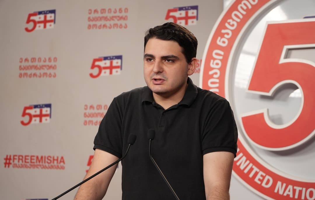 ლევან სანიკიძე - საქართველო ევროსაბჭოდან გარიცხვის საფრთხის წინაშე დგას, გამოსავალი მხოლოდ ხელისუფლების შეცვლაა