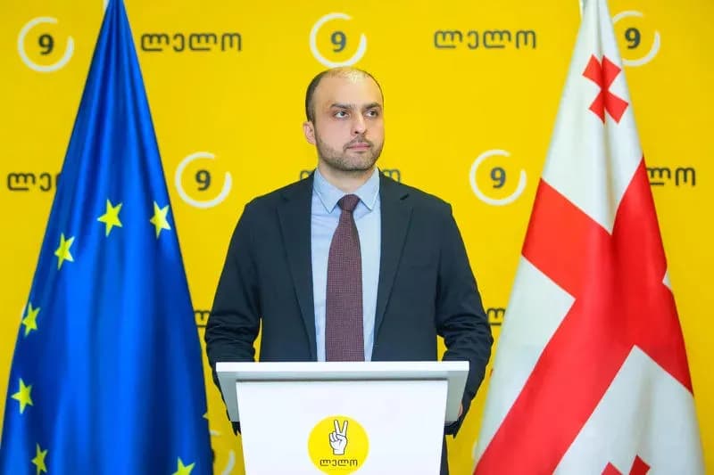 Lelo’s Giorgi Sioridze: we fully support NGOs, Ivanishvili’s regime won’t escape accountability