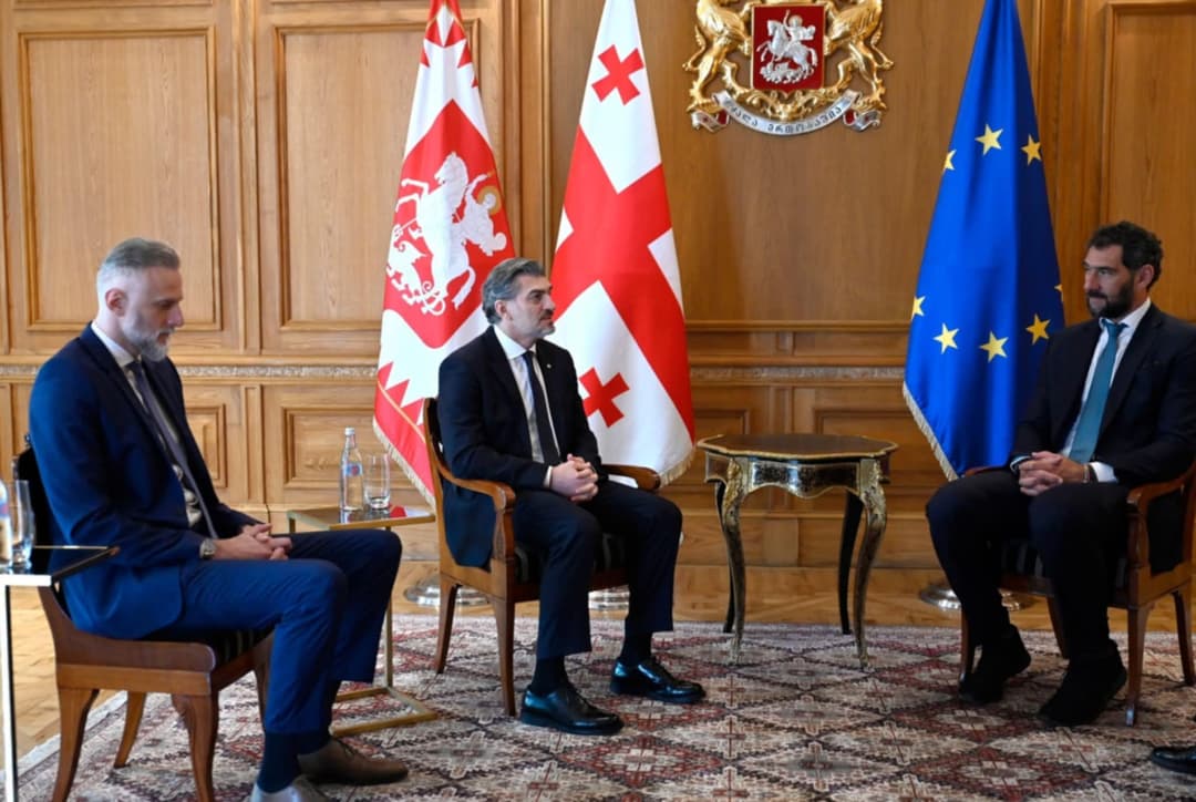 მიხეილ ყაველაშვილი ფიბა ევროპის პრეზიდენტს ხორხე გარბახოსას შეხვდა