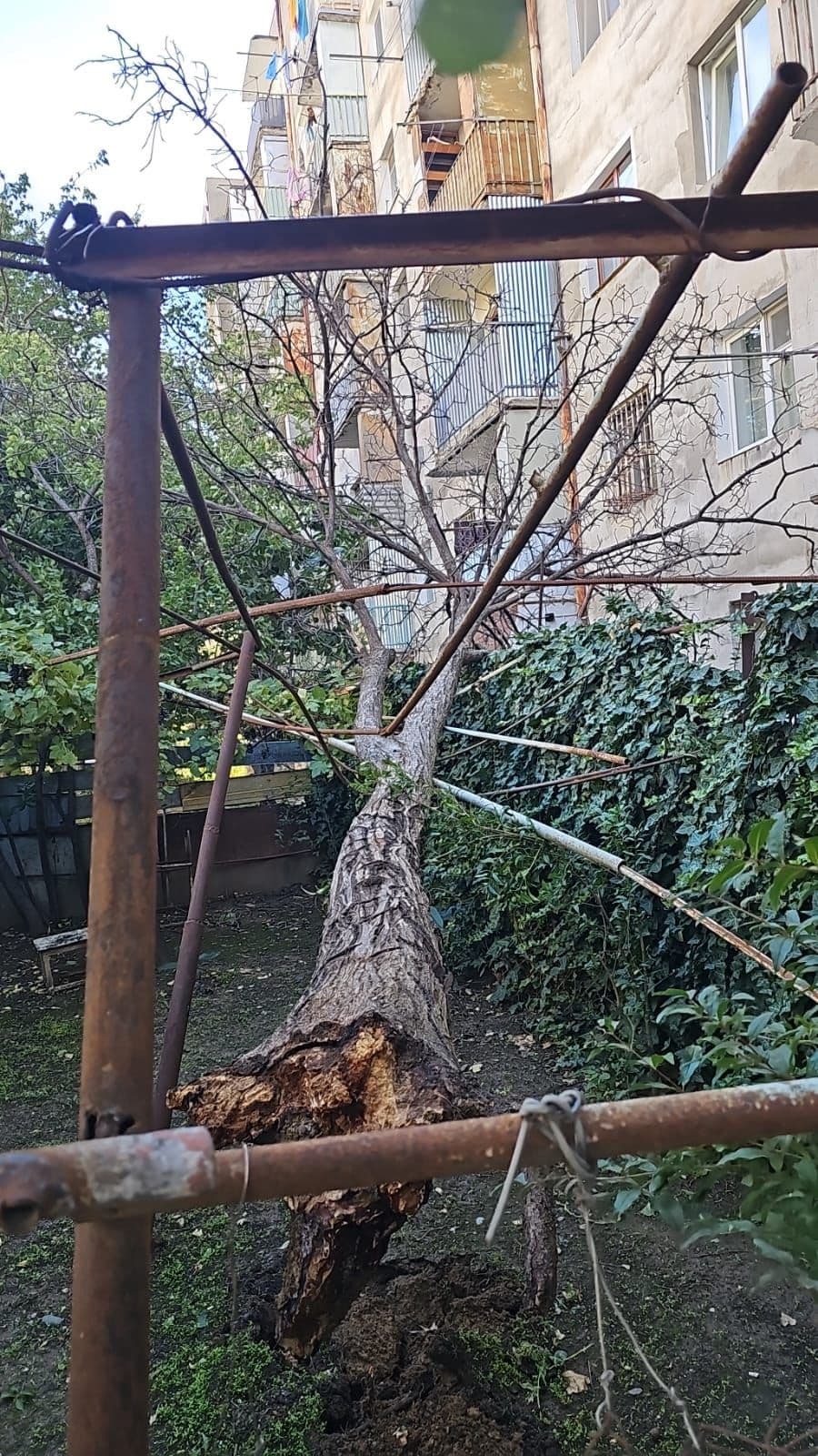 <p style="text-align: justify">ძლიერი ქარის გამო დედაქალაქში გარკვეული სახის პრობლემები შეიქმნა.</p><p style="text-align: justify">"კერძოდ, რამდენიმე რაიონში, განსაკუთრებით ვაკის, საბურთალოს, დიდუბის, გლდანისა და სამგორის რაიონებში დაფიქსირდა ხის წაქცევის, ასევე ხის ტოტების მტვრევის ფაქტები.</p><p style="text-align: justify">თბილისის რაიონების გამგეობებისა და „ეკოსერვის ჯგუფის“ წარმომადგენლები ადგილზე იმყოფებიან და სალიკვიდაციო სამუშაოებს ახორციელებენ. ასევე, მობილიზებულია მუნიციპალიტეტის შესაბამისი სამსახურები.</p><p style="text-align: justify">უამინდობის გამო შექმნილი პრობლემის არსებობის შემთხვევაში, შეგიძლიათ დარეკოთ თბილისის მერიის ცხელ ხაზზე - 2 72 22 22", - აღნიშნულია თბილისის მერიის განცხადებაში.</p><p style="text-align: justify">&nbsp;</p>