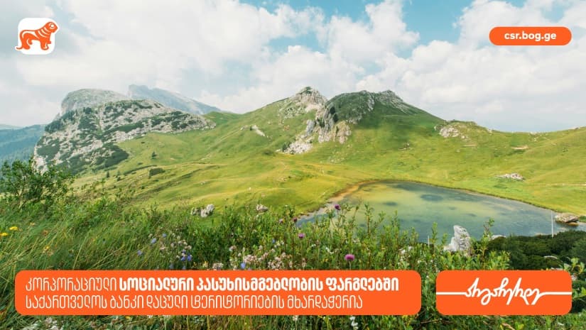 "საქართველოს ბანკი", სოციალური პასუხისმგებლობის ფარგლებში, 18 დაცული ტერიტორიის მხარდამჭერია