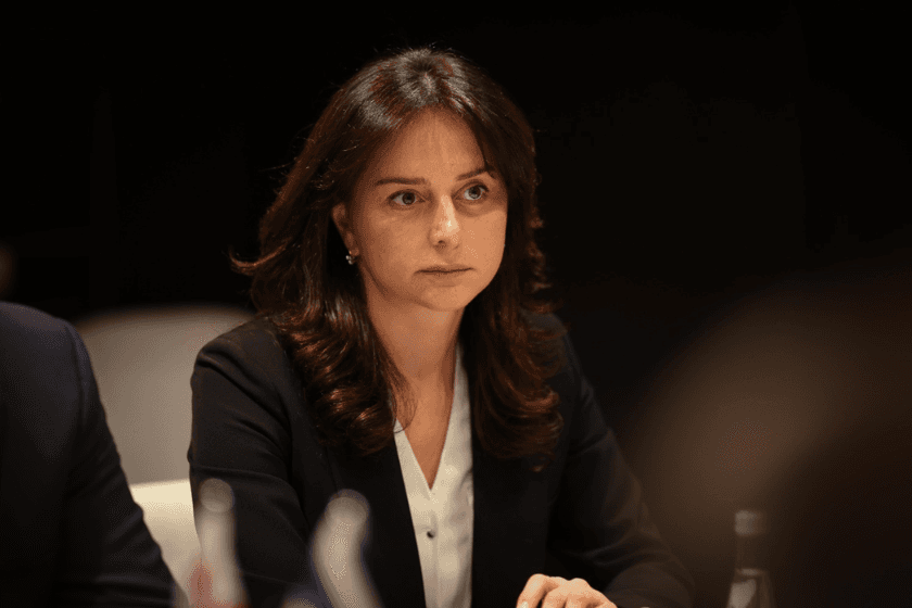 მაია ბითაძე - ეს დაბარება ამ შემთხვევაში იყო კულმინაციური მომენტი