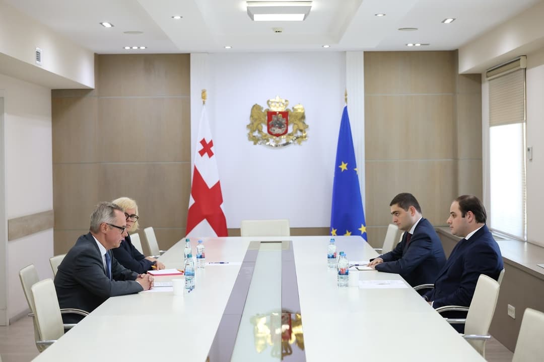 ლევან ჟორჟოლიანი გერმანიის ელჩს საქართველოში პეტერ ფიშერს შეხვდა