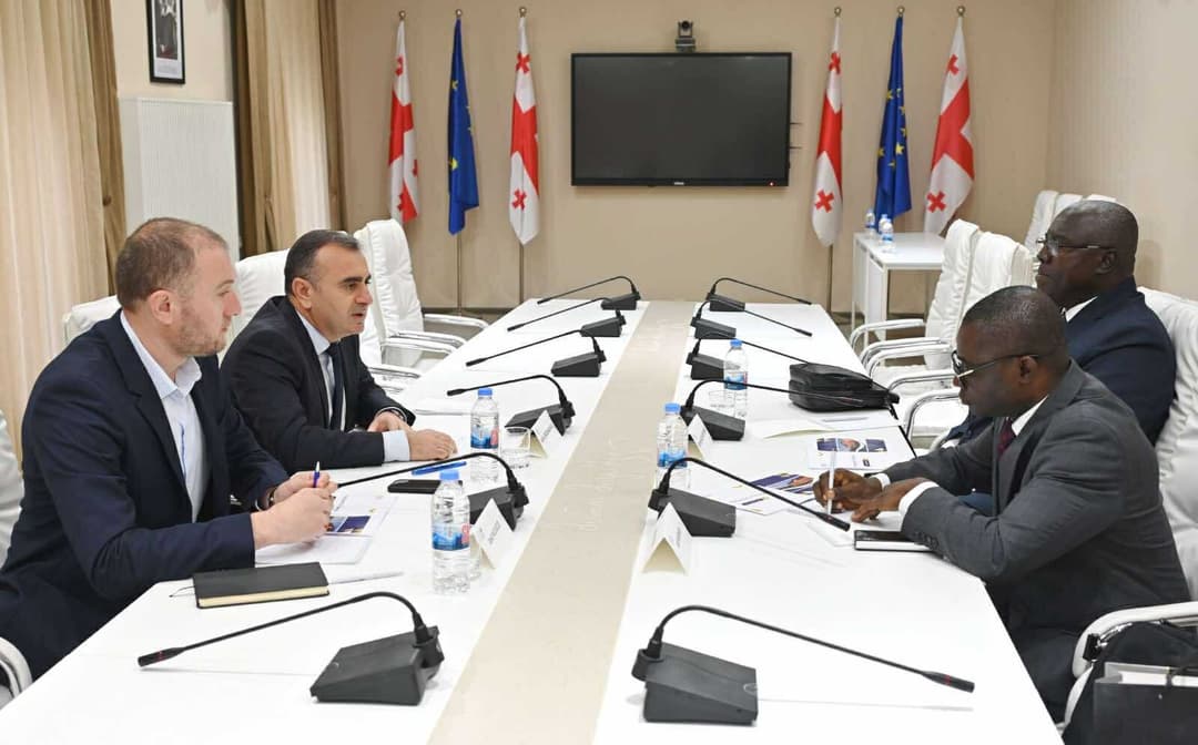 განას პარლამენტის ადმინისტრაციის თანამშრომლებმა საქართველოს საკანონმდებლო ორგანოში შეხვედრები გამართეს