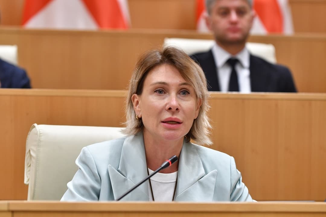 ნინო წილოსანი - საზოგადოება "ქართულ ოცნებას“ მხარს უჭერს, რადგან საქართველო არის უსაფრთხო და დაცული ქვეყანა, მიმზიდველი საბაზრო ეკონომიკით, ეფექტიანი მთავრობით და დამოუკიდებელი სასამართლო სისტემით