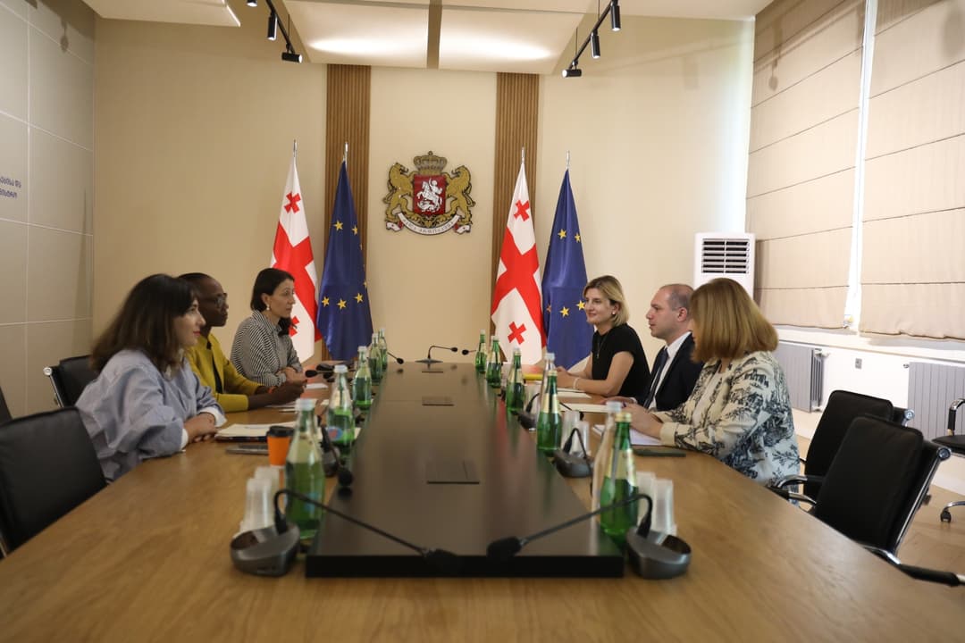 გივი მიქანაძე მსოფლიო ბანკის რეგიონულ დირექტორს შეხვდა