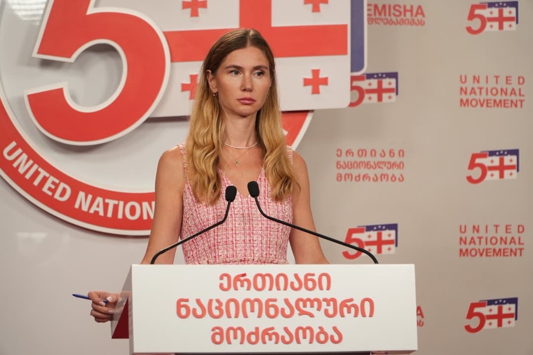 თინა ბოკუჩავა - "ერთიანი ნაციონალური მოძრაობა" ყველაფერს ვაკეთებთ იმისთვის, რომ ვიზალიბერალიზაცია დაწესდეს მხოლოდ რეჟიმის წარმომადგენლებზე