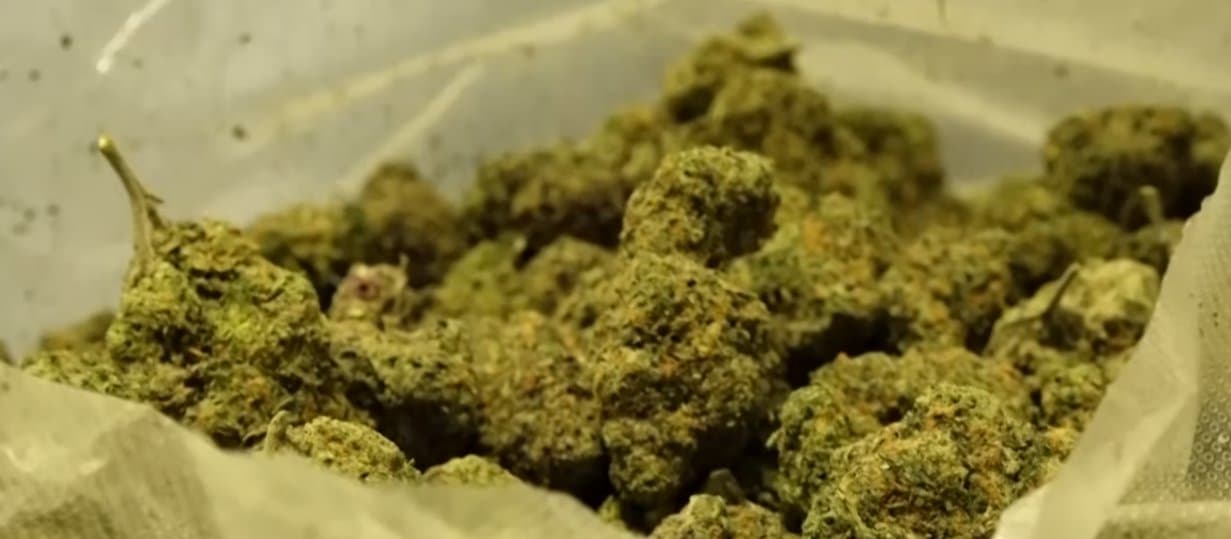 Police said they had discovered 19.4 kilograms of marijuana packed in 34 separate parcels hidden in the suspect’s luggage during a customs inspection