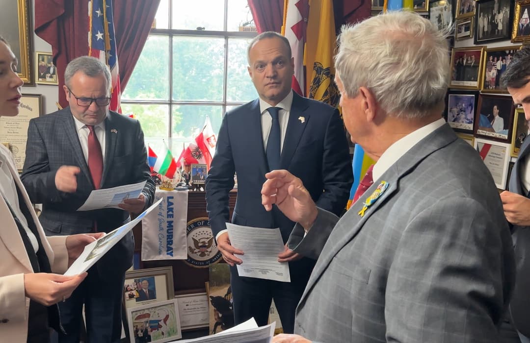 პეტრე ცისკარიშვილი - მნიშვნელოვანია, აშშ-ში იცოდნენ, რომ საქართველოში არიან პოლიტიკური ძალები, რომელთაც შესწევთ უნარი ქვეყანა კრიზისიდან გამოიყვანონ