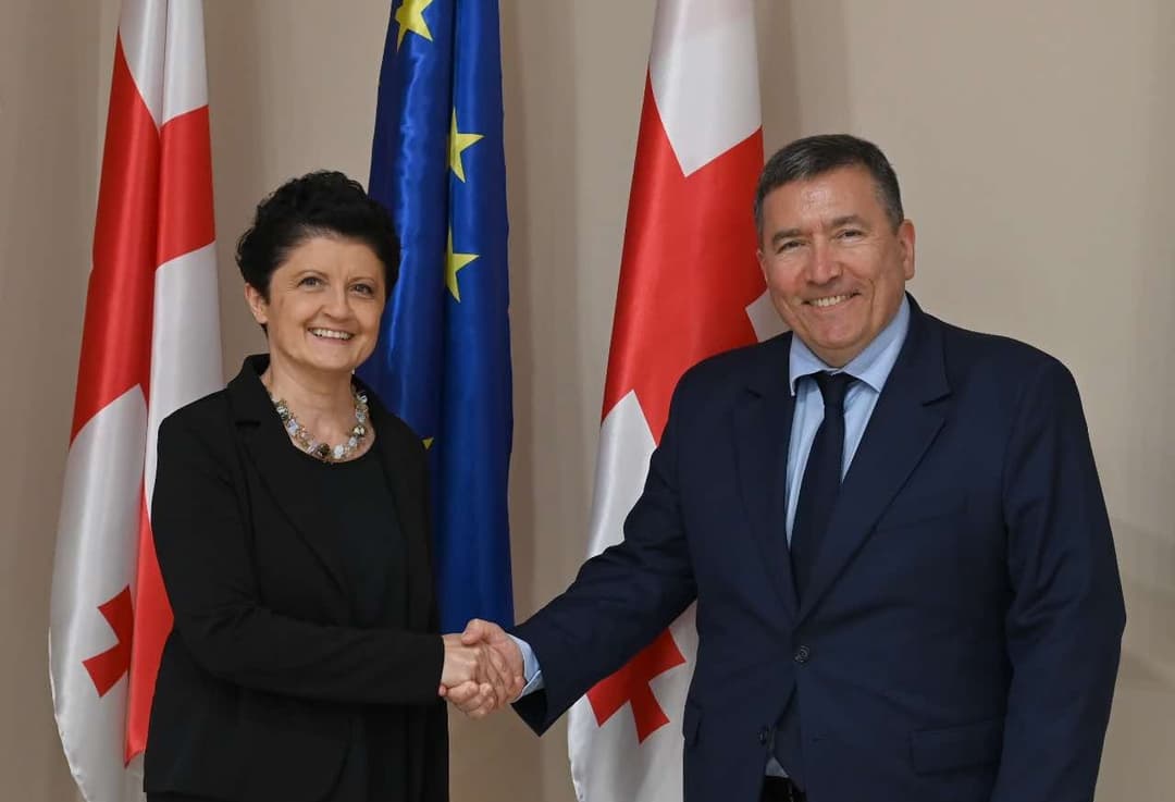 თეა წულუკიანი ჩილეს რესპუბლიკის საგანგებო და სრულუფლებიან ელჩს შეხვდა