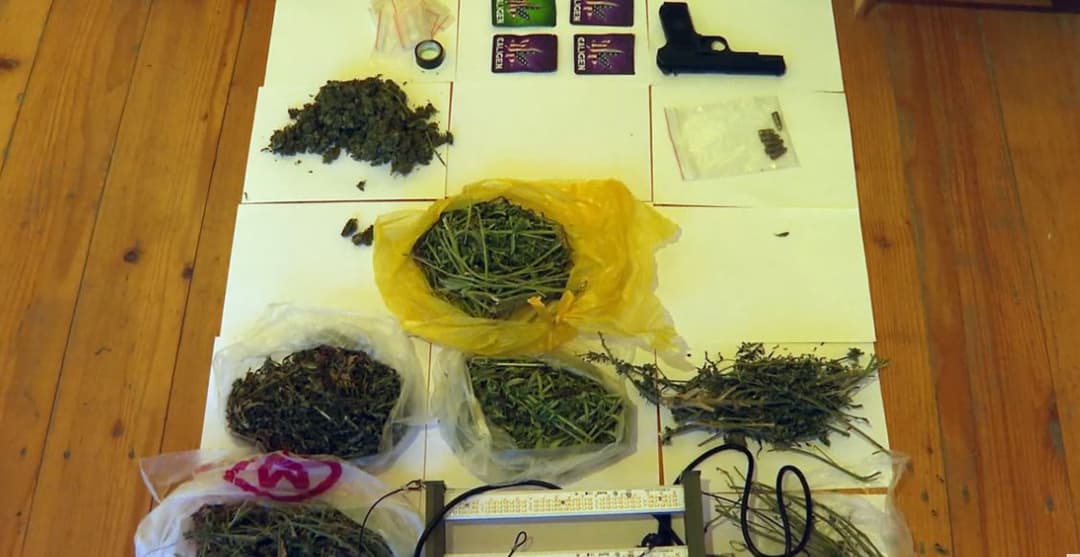 Two arrested for illegal cultivation, drug possession, and firearm offences in Georgia