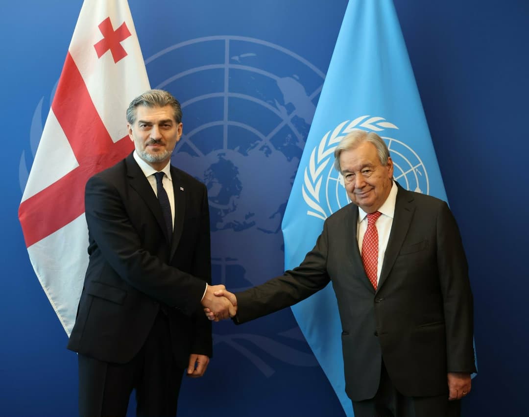 Georgia’s President meets UN chief, highlights peace, stability