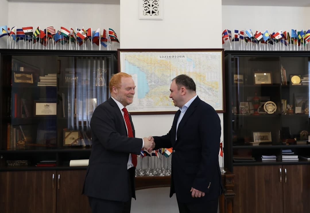 ნიკოლოზ სამხარაძე ჩილელ სენატორს შეხვდა