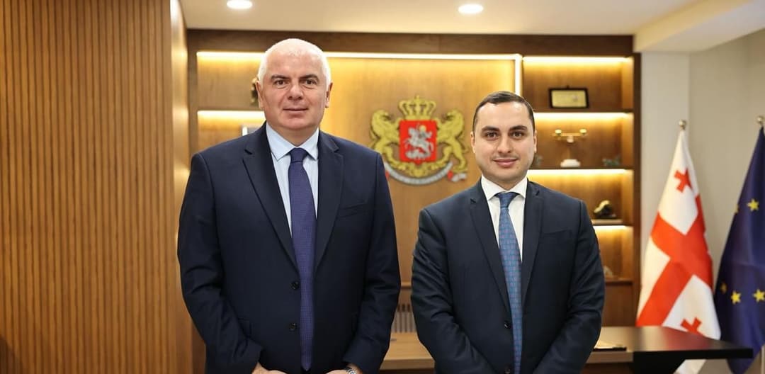 გიორგი ჯინჭარაძე საქართველოს სპორტის მინისტრს შეხვდა
