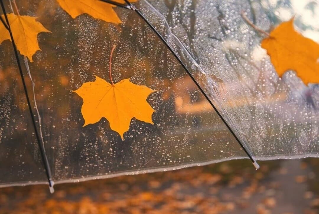 9-11 ოქტომბერს მოსალოდნელი ამინდი საქართველოში