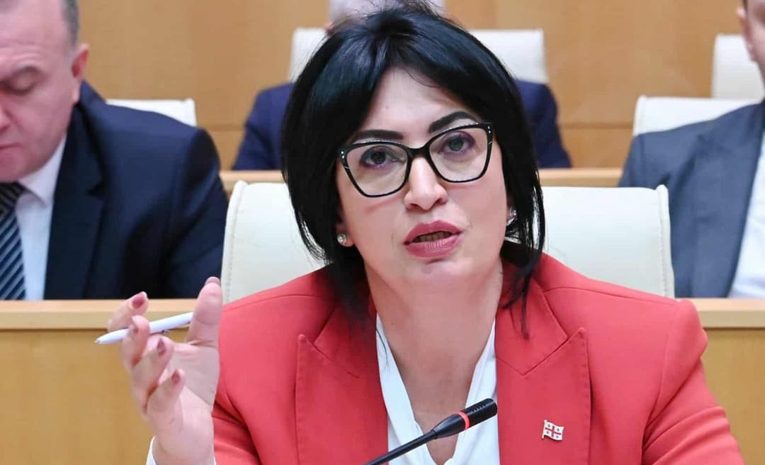 გრეტა წიწავა - სამწუხაროდ, ძალადობრივი პროცესები, ევროპული ბიუროკრატიის ზოგიერთი წარმომადგენლის მხრიდან იყო მხარდაჭერილი