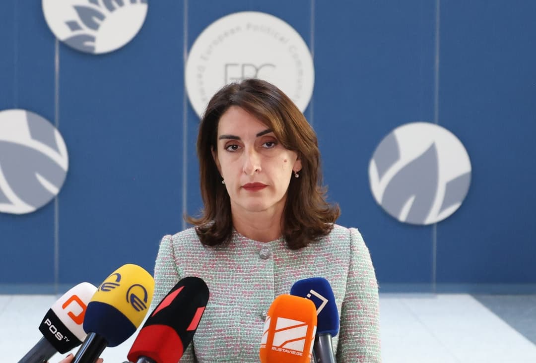 FM Botchorishvili: Georgia plays key role in Europe’s economic security