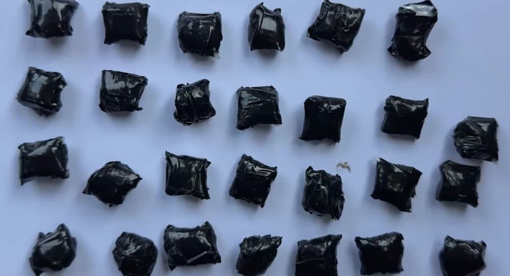 Seven arrested in Georgia’s capital on drug-related charges